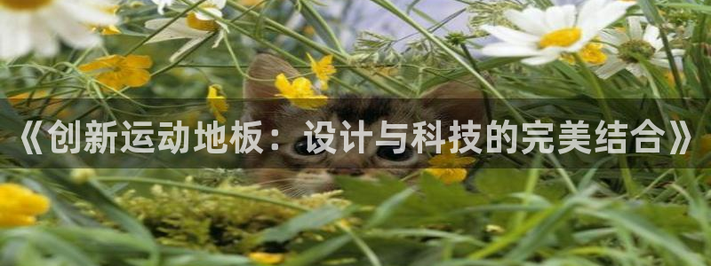 oety欧亿体育官网下载招商电话地址查询:《创新运动地板:设